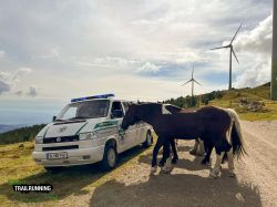 2022-08-20 Koralm Trailrunning Event 2022 - 246EBCC9-5482-4ED2-AC2D-DCA60DDF726D